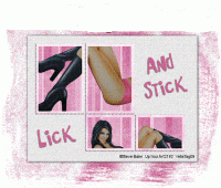 LicknStick