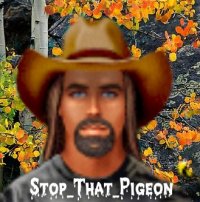 stop_that_pigeon