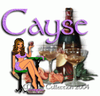 cayse2