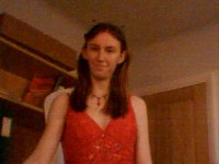 penguins_steal_sanity