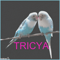 Tricya111