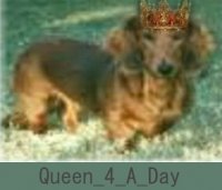 Queen_4_A_Day