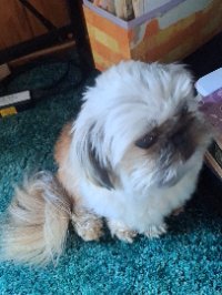 Bethany_420