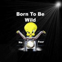 Born_To_Be_Wild_