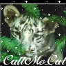CallMe_Cat