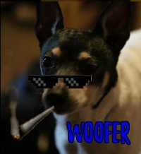 WOOFER