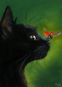 Bewitch