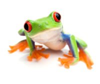 JFrog