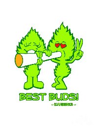 bud4life