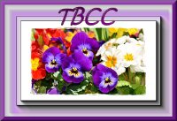 Tbcc