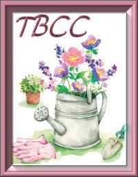 Tbcc