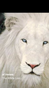 WhiteLion1958