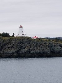 MistyMaritimer