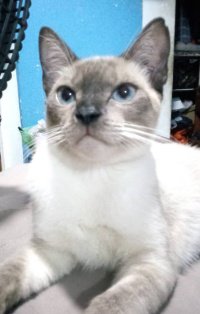 catyta83