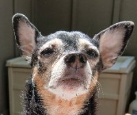 Zoey28