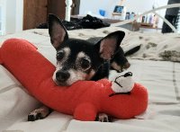 Zoey28