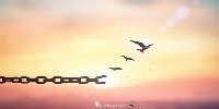 dragonwood53