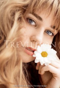 Springdaisy