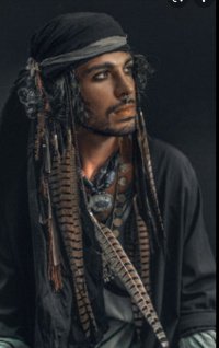 Gypsy_Flies