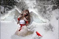 WinterAngel