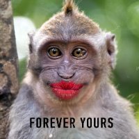 Monkey_Butt