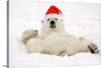 SANTA_BEAR