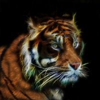 Tigeress
