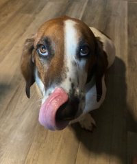 MuddyPaws