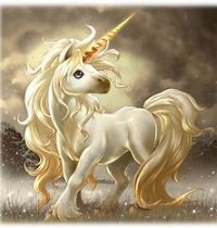 Unicornlady
