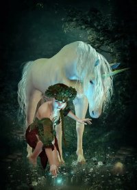 Unicornlady
