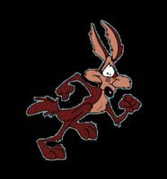 WileECoyote