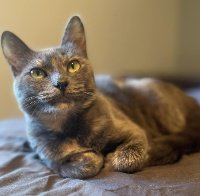 mittens1053