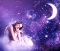 Night_Bird2