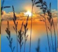 Sunset_lover