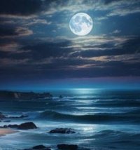 _Oceanview_