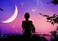 Night_Bird1