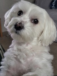 Lucylou@6