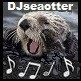 DJ_Seaotter_ak