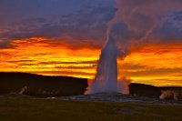 yellowstone