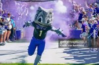 TCUHornedFrog