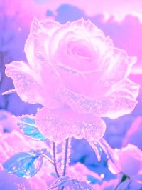 Love_lace