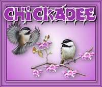 _chickadee_
