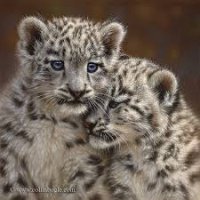 SnowLeopardLove