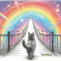 PetsGoThere
