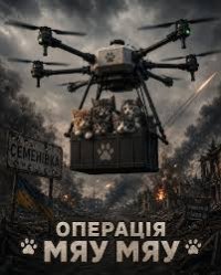 UkraineKittensRide