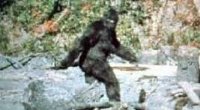 BigFootFake