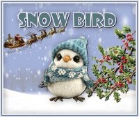 _SNOWBIRD_