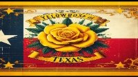 YellowRoseOfTexas
