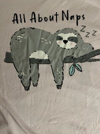 allaboutNAPS