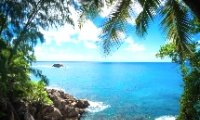 BlueSea_